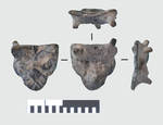 fig. 9 Belt fitting