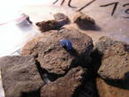 Blaue Glasperle aus Fl�¤che 11 auf Keramikscherben