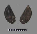fig. 6 Arabic silver coin