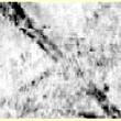 Georadar picture of  the linear structure, size 10 x 10 m